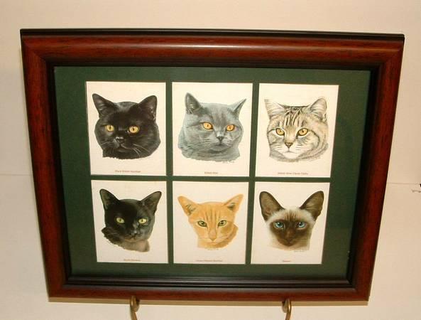 Breeds Of Cats Framed British Collector Card Set.