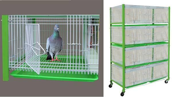 New breeding cage for pigeons 8 compartments bird cage new in box