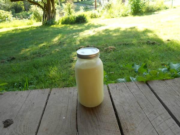 Raw Goat's milk- 1/2 gallons are fresh/frozen