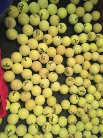 flash sale * used tennis balls for dogs