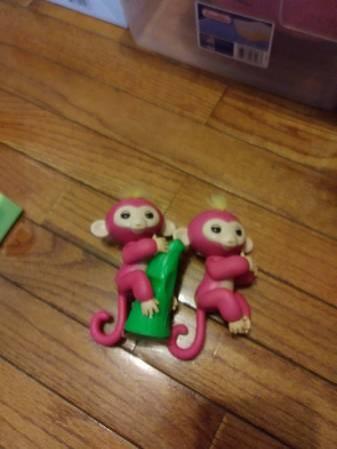 Finger monkeys - two
