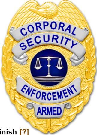 Security Guard Job $18 NOW Protect the Public Long-Term DCJS NOVA