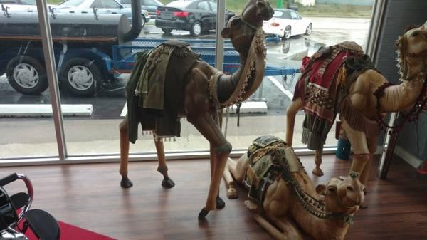 Leather camels