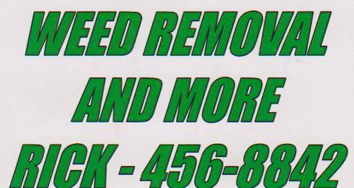 YARD WORK AND YARD CLEANING  *** 456-8842 TREE TRIMMING , LITE HAULING