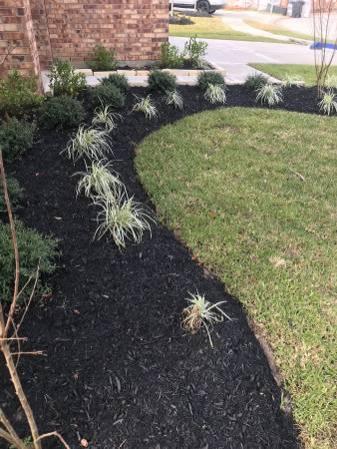Alex Landscaping solutions