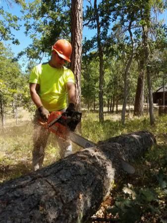 Firewood-Cutting-Splitting-Stacking work wanted