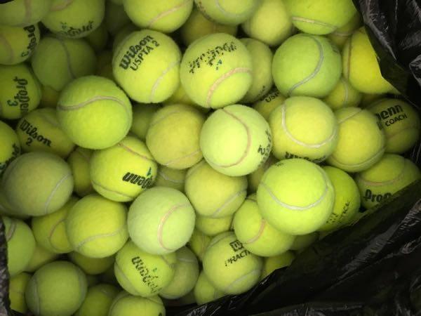 Used Tennis Balls For Your Pets!