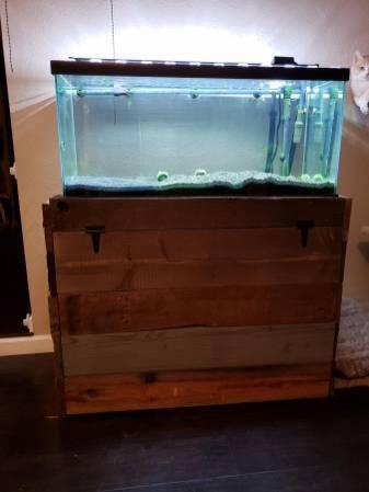 38 gallon fish tank with custom stand