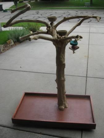 Large Java Tree for Parrot