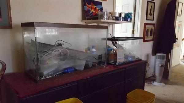 free fish tanks