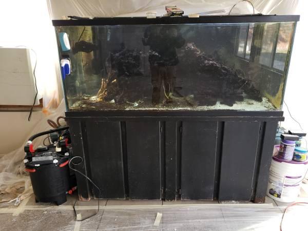 150 gallon saltwater fish tank with 5 fish, stand,sump,2 protein skimm