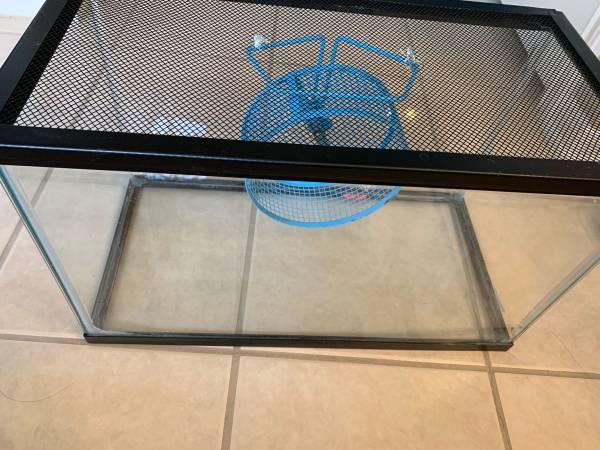 Lot of supplies for small animals, pets, gerbils, hamsters