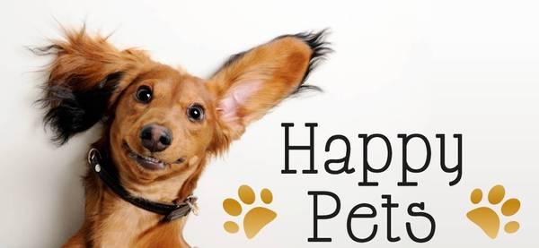 Happy Pets Home Care- Dog Sitter & Cat Sitter