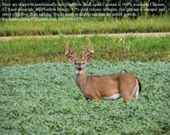 Food plots! why use Lime when CALCIUM is much cheaper