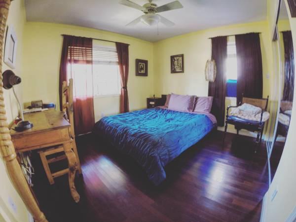 Private House Share Eagle Rock:  (2) Rooms for Rent/Sublease