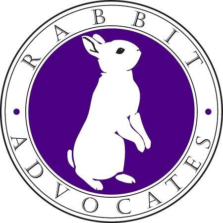 Meet Adoptable House Rabbits, Saturday, Jan. 12, Noon to 1:30PM