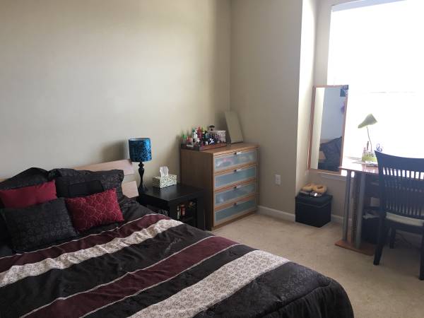Room in new apartment for rent, with full furniture