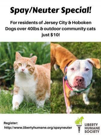 JERSEY CITY/HOBOKEN: $10 SPAY/NEUTER for OUTDOOR CATS & LARGE DOGS