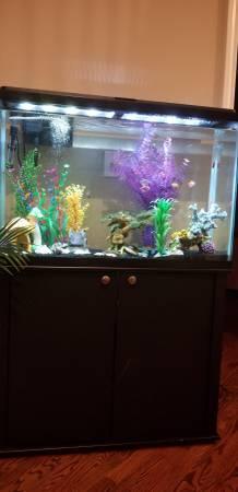 $150  50 gallon Fish Tank with assorted fish, stand, automatic feeder
