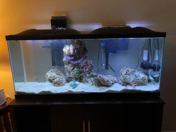55gal fish tank and stand