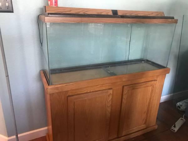Fish tank, stand , filter and everything else you could need