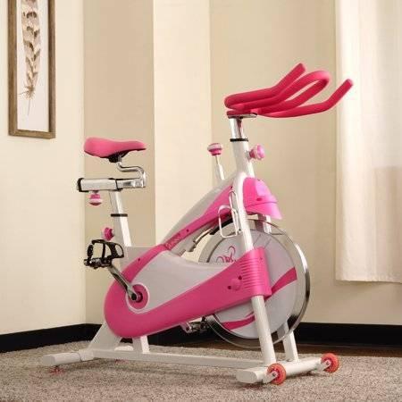 Sunny Health & Fitness P8150 Pink Premium Indoor Exercise Cycling Bike