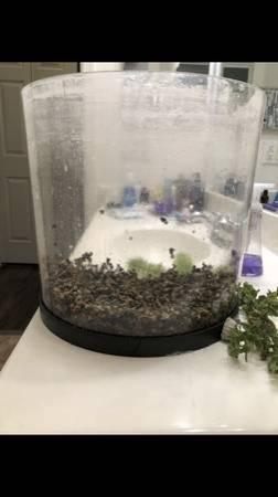 3 gallon bow-front fish tank with lid $35