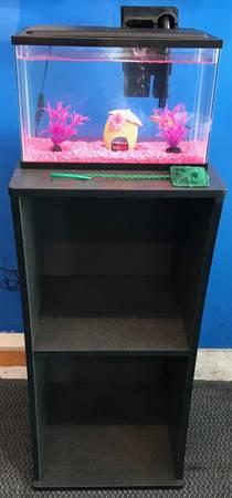 5 gallon aquarium fish tank complete set up $100