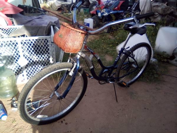 Granny's Schwinn bike with basket for getting the ma surprise the wife