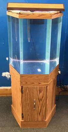 35 gallon Hexagon aquarium fish tank complete set up  $300