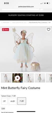 Pottery Barn Butterfly Fairy costume  size 3 and 4/6