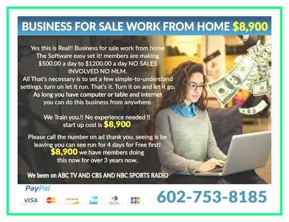 Business for sale work from your computer