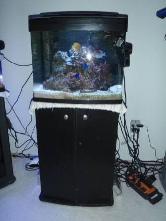 Salt Water Reef Tanks Complete w/ Fish Live Coral Bio Cube #3 Aquarium