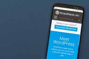 Find Wordpress expert near Kansas City